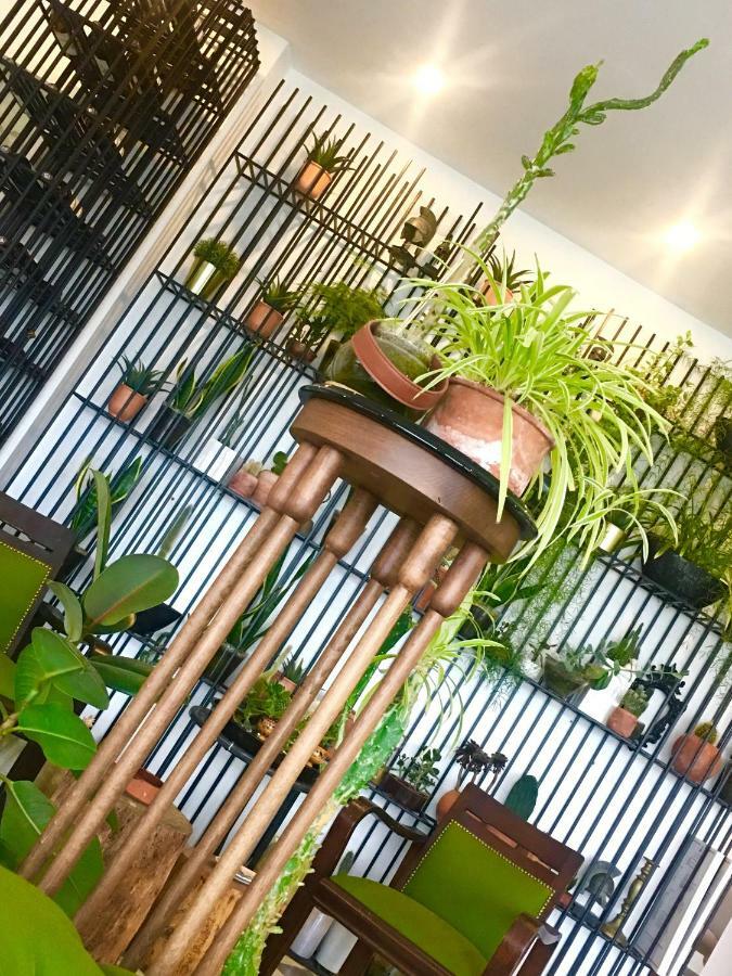 Sato Design Hotel (Adults Only) Кешме Экстерьер фото